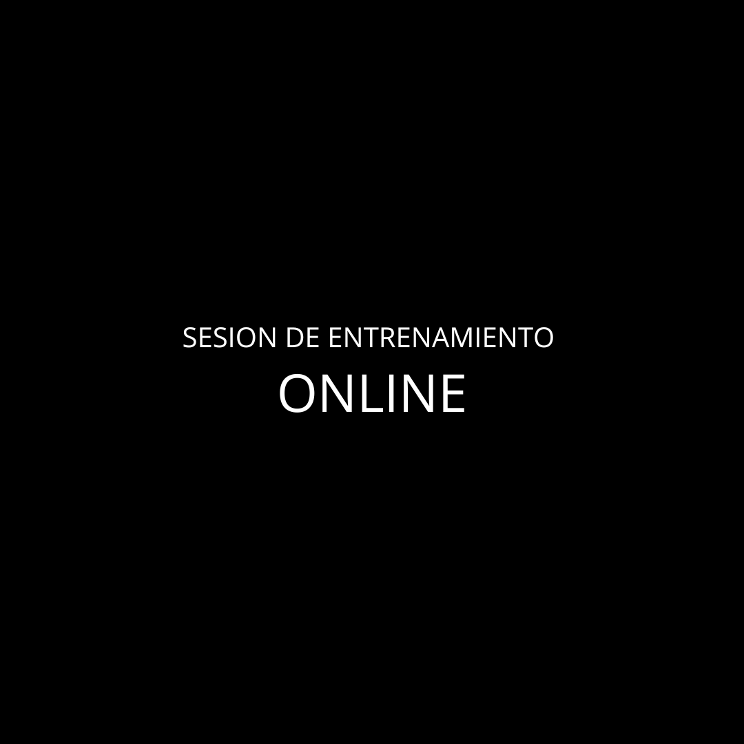 Sesión de entrenamiento Online